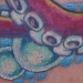 Tattoos - Tattooing Octopus - 14518